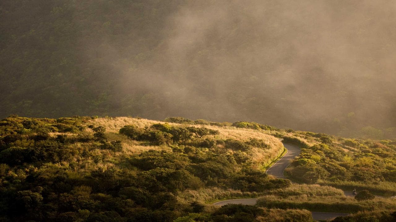 Stream Ethiopian Cinema